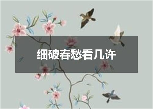 细破春愁看几许