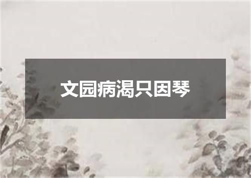 文园病渴只因琴