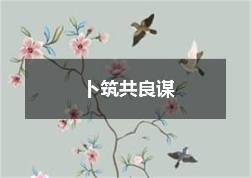 卜筑共良谋