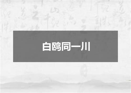白鸥同一川