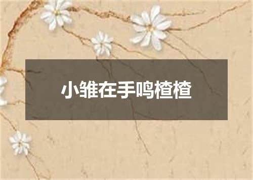 小雏在手鸣楂楂
