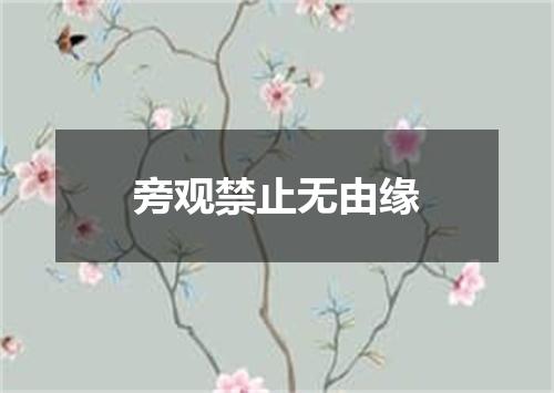 旁观禁止无由缘