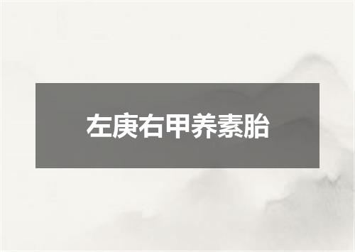 左庚右甲养素胎