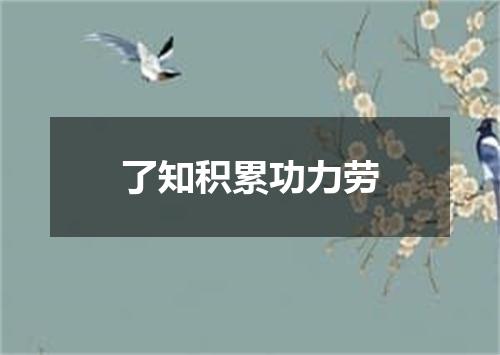 了知积累功力劳