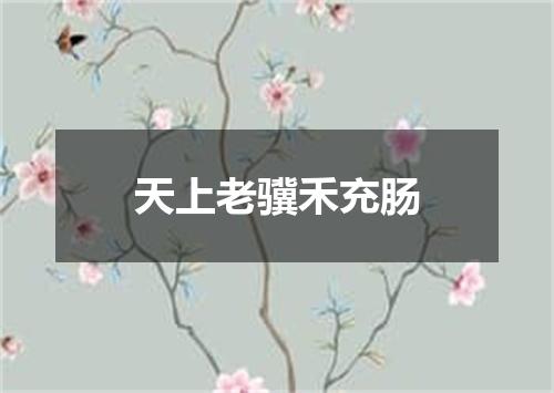 天上老骥禾充肠