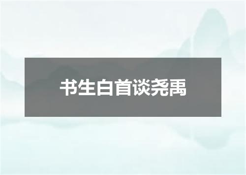 书生白首谈尧禹