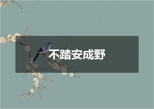 不踏安成野