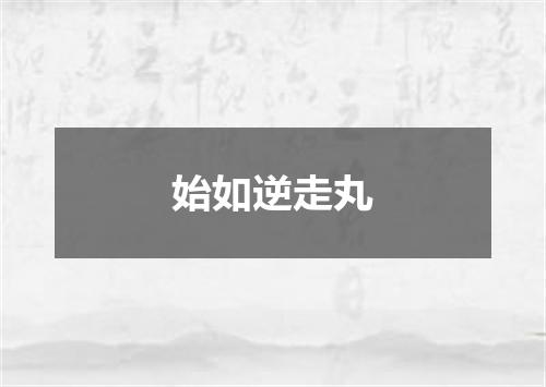 始如逆走丸
