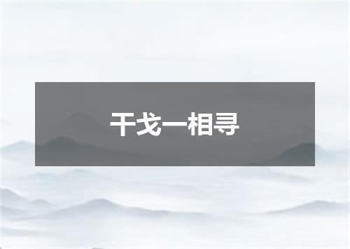 干戈一相寻