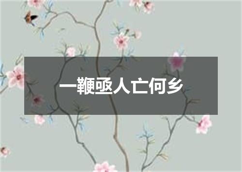 一鞭亟人亡何乡