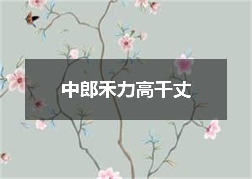 中郎禾力高千丈