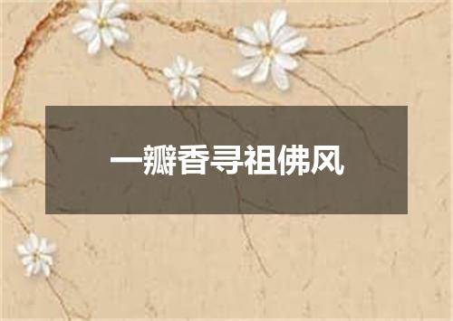一瓣香寻祖佛风