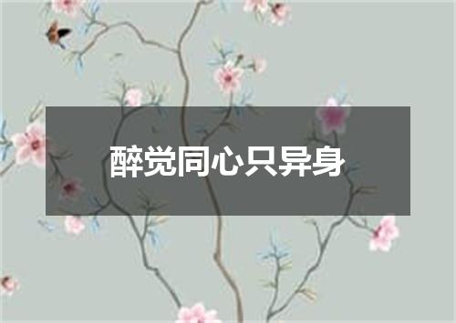 醉觉同心只异身