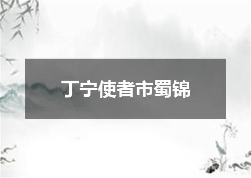 丁宁使者市蜀锦