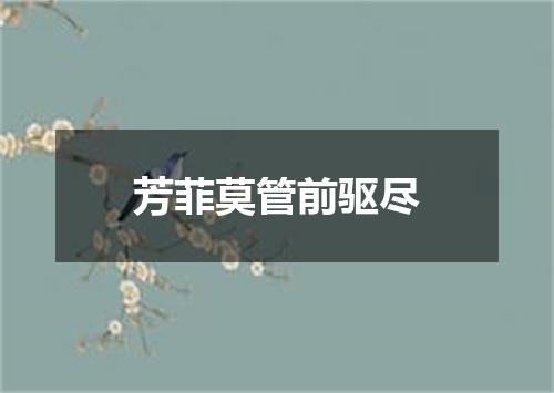 芳菲莫管前驱尽