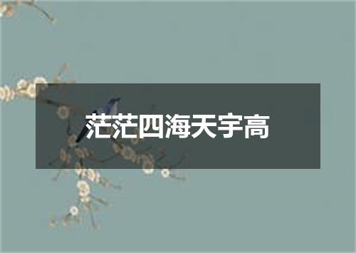 茫茫四海天宇高