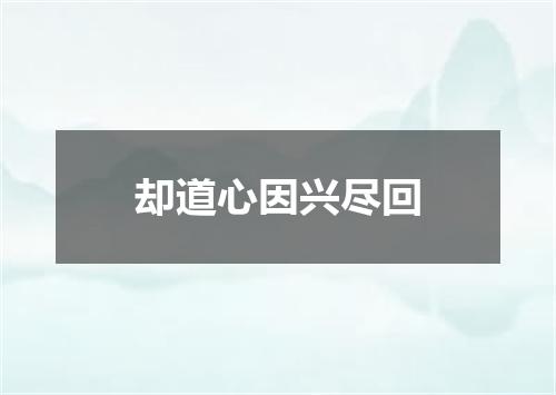 却道心因兴尽回
