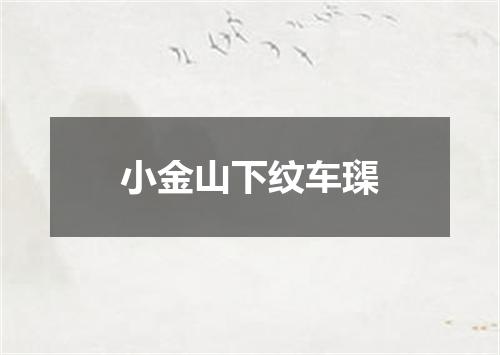 小金山下纹车璖
