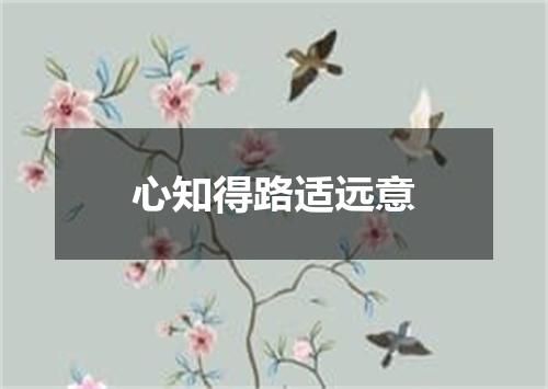 心知得路适远意