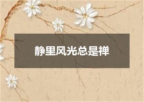静里风光总是禅