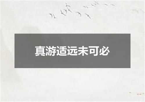 真游适远未可必