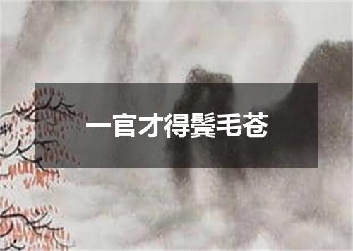 一官才得鬓毛苍