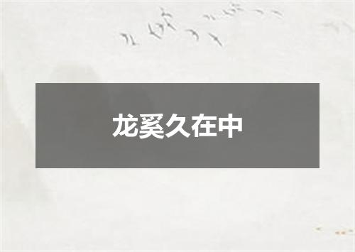 龙奚久在中