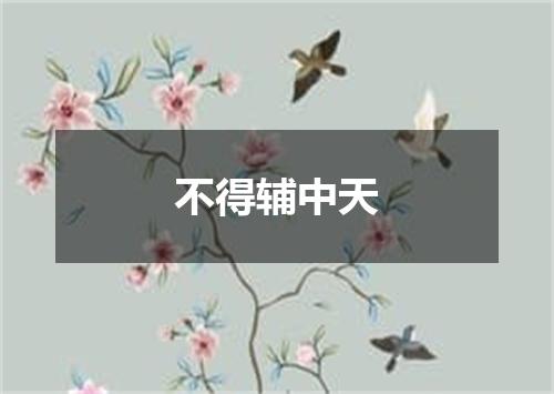 不得辅中天