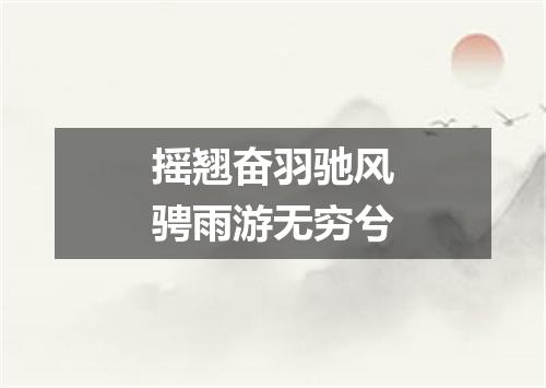 摇翘奋羽驰风骋雨游无穷兮