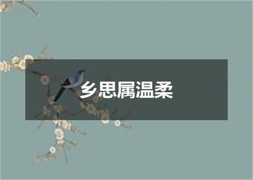 乡思属温柔
