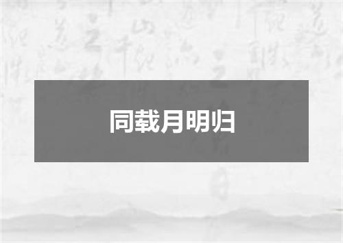 同载月明归