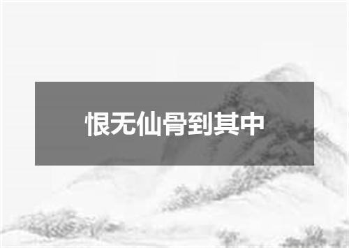 恨无仙骨到其中