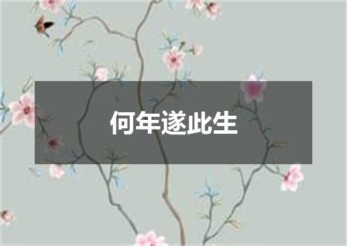 何年遂此生