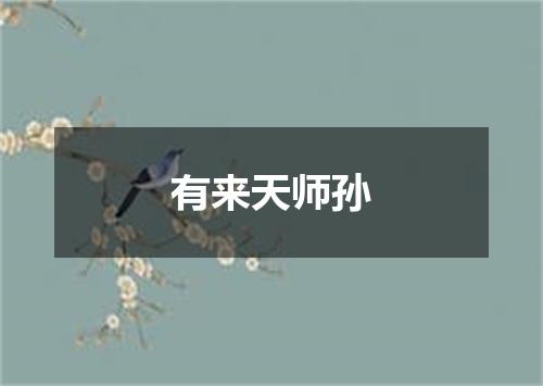有来天师孙