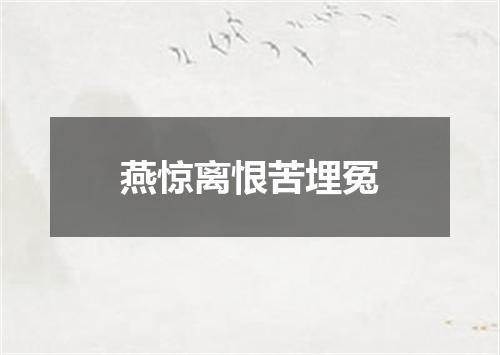 燕惊离恨苦埋冤