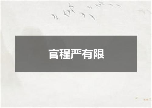 官程严有限