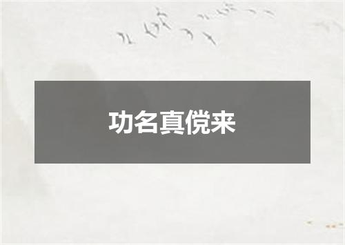 功名真傥来