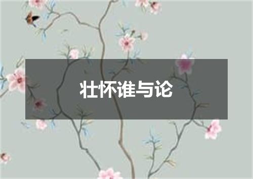 壮怀谁与论