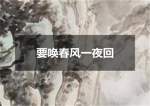 要唤春风一夜回