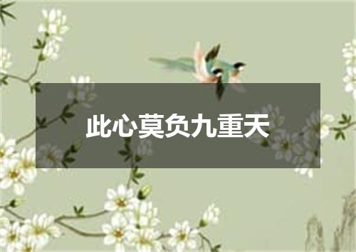 此心莫负九重天