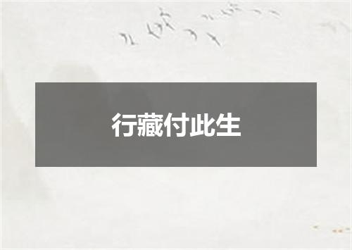 行藏付此生