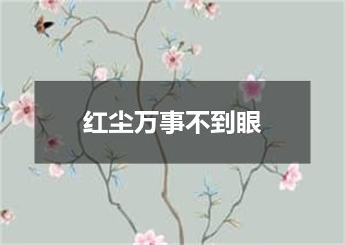 红尘万事不到眼