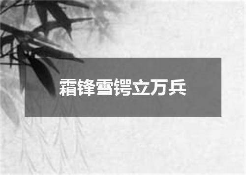 霜锋雪锷立万兵