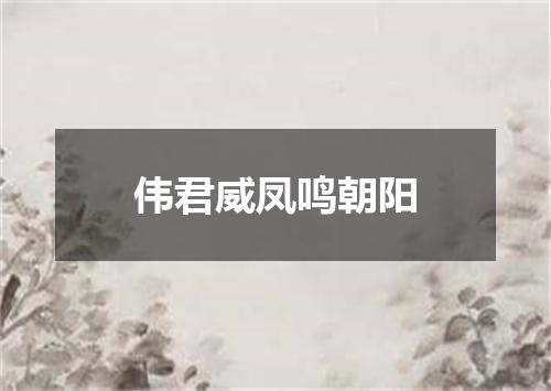 伟君威凤鸣朝阳