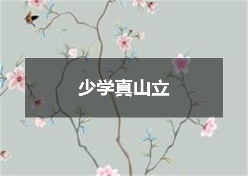 少学真山立