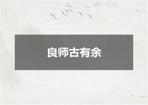 良师古有余