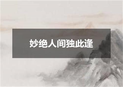 妙绝人间独此逢