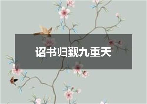 诏书归觐九重天