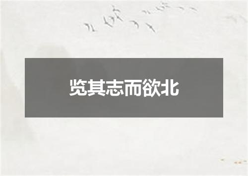 览其志而欲北