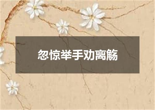 忽惊举手劝离觞